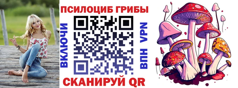 наркота  Сорск  Псилоцибиновые грибы прущие грибы 